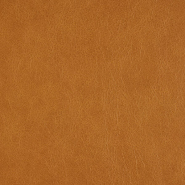 Swatch - Bruno Tan