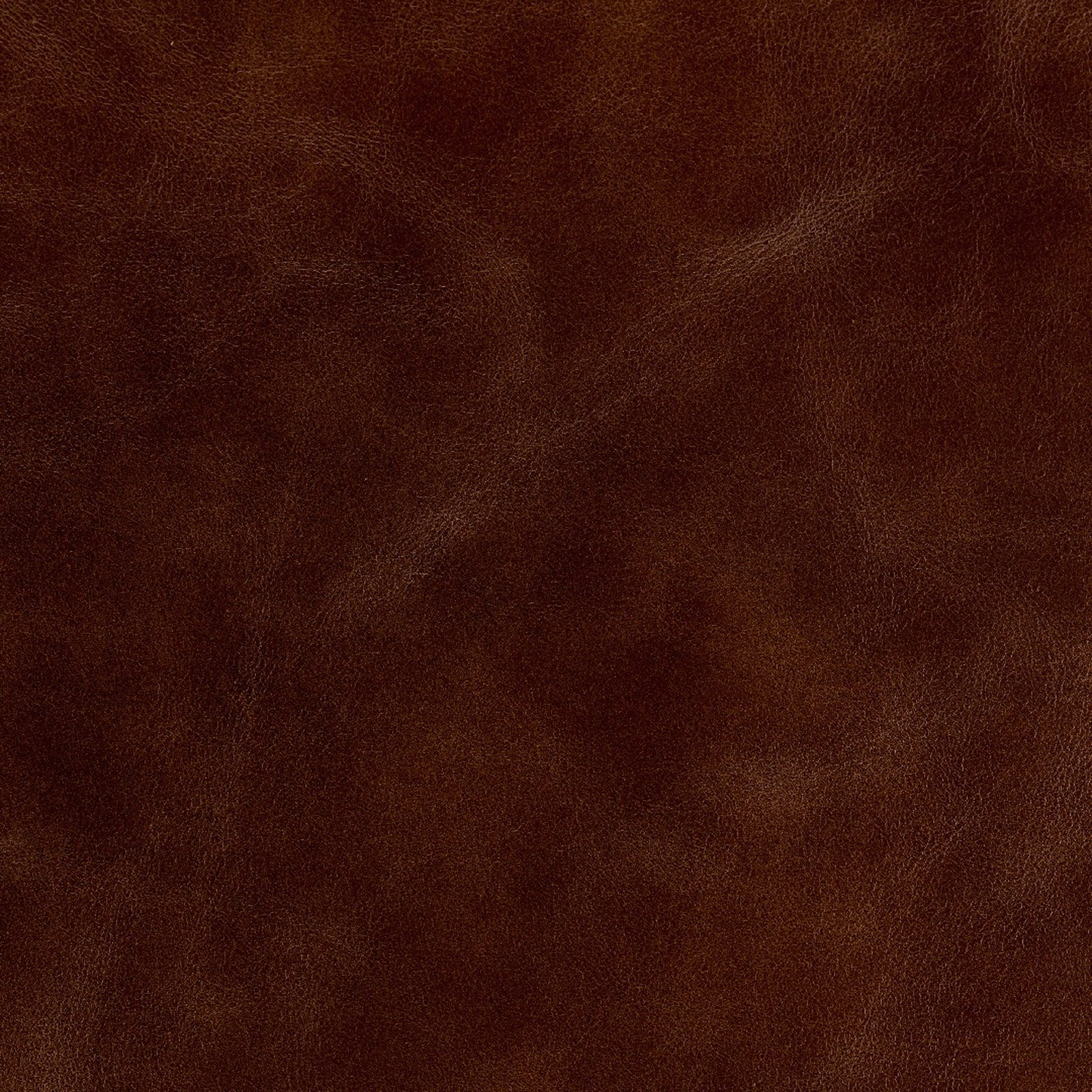 Swatch - Belmont Tobacco