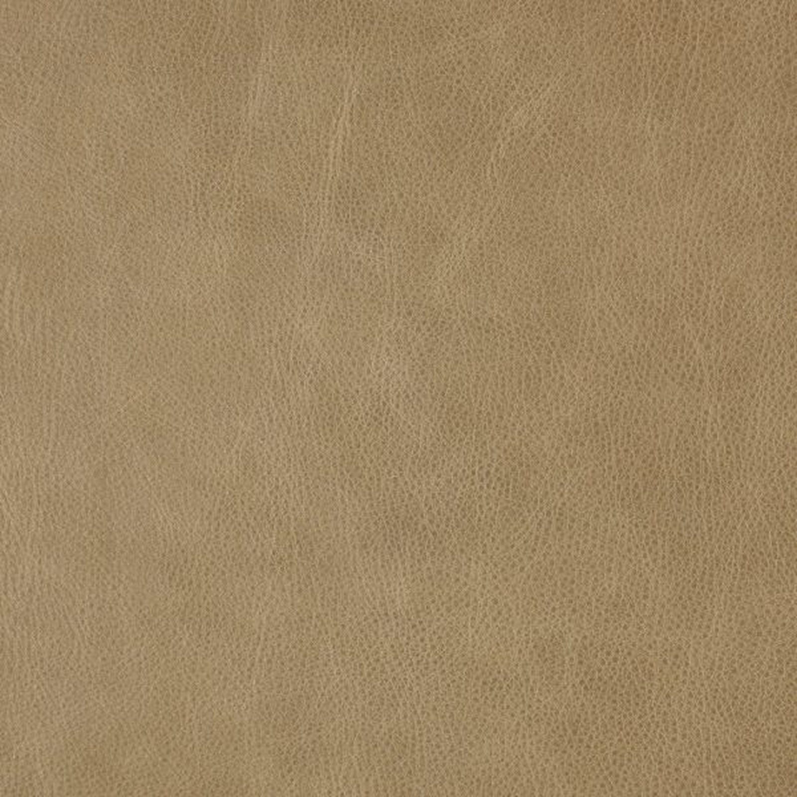 Swatch - Harlow Desert Taupe