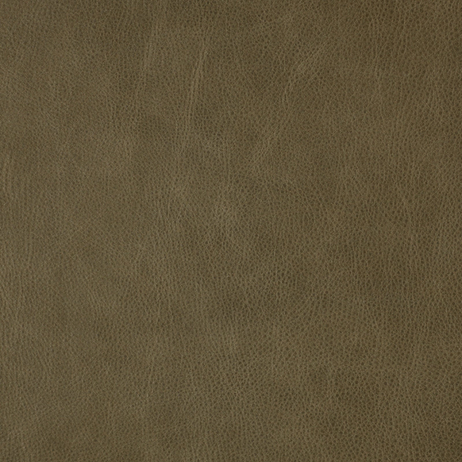 Swatch - Harlow Olive