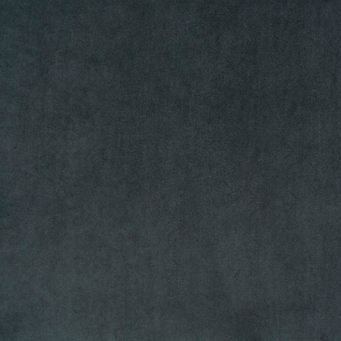 Swatch - Marquis Velvet Pine