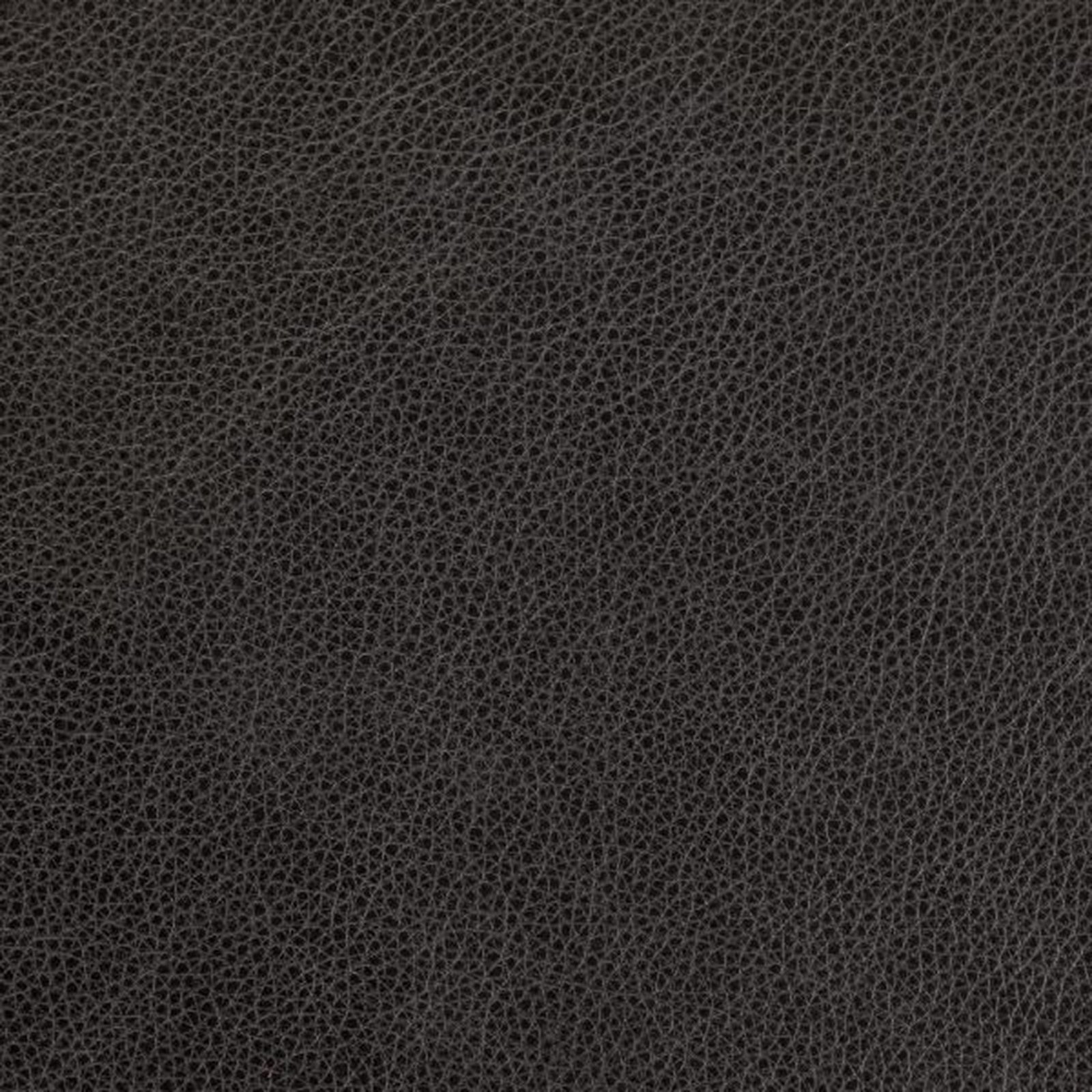 Swatch - Rangers Carbon