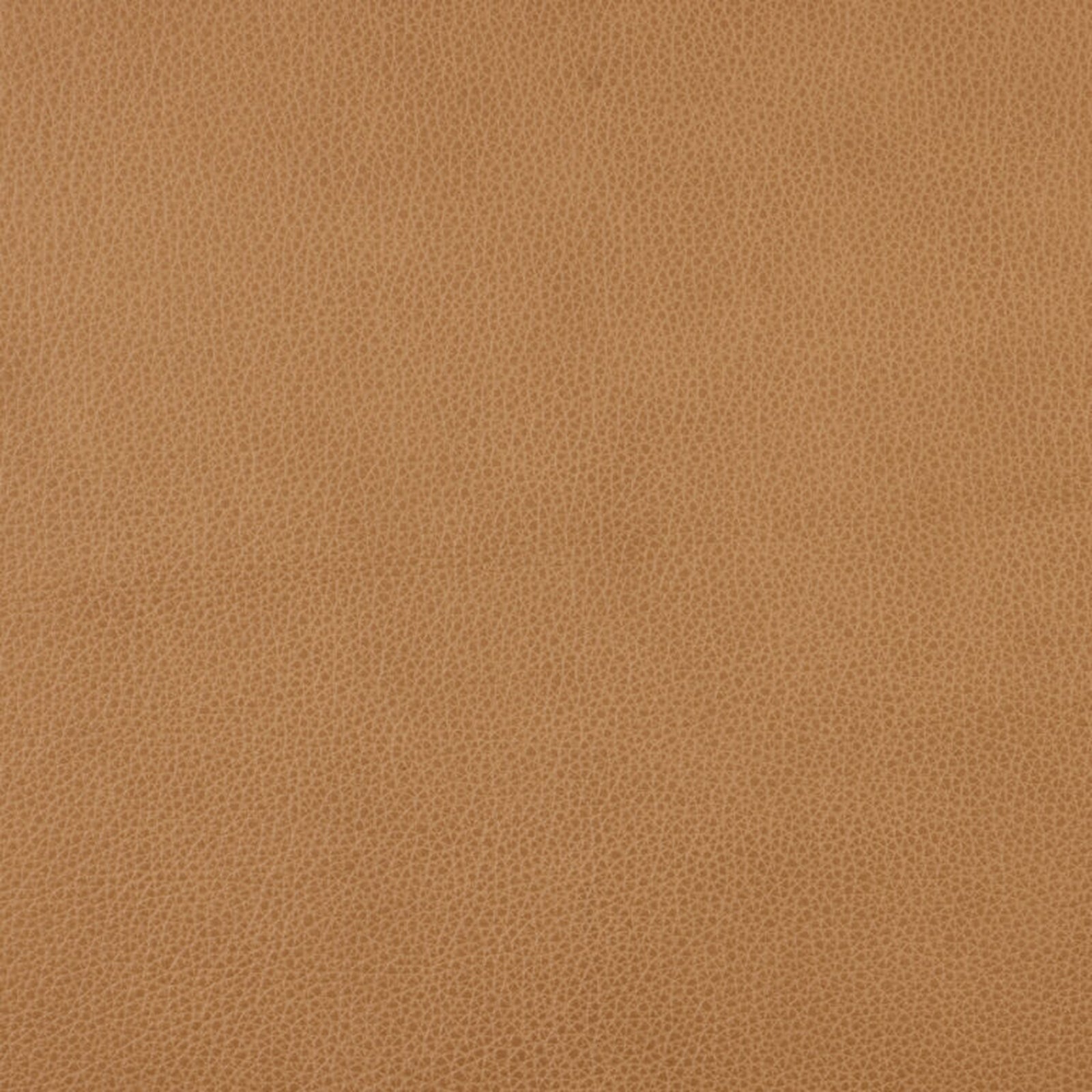 Swatch - Rangers Morning Sun