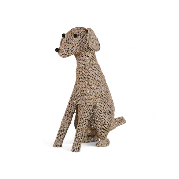 171561211738674287_Coda_Dog_An
