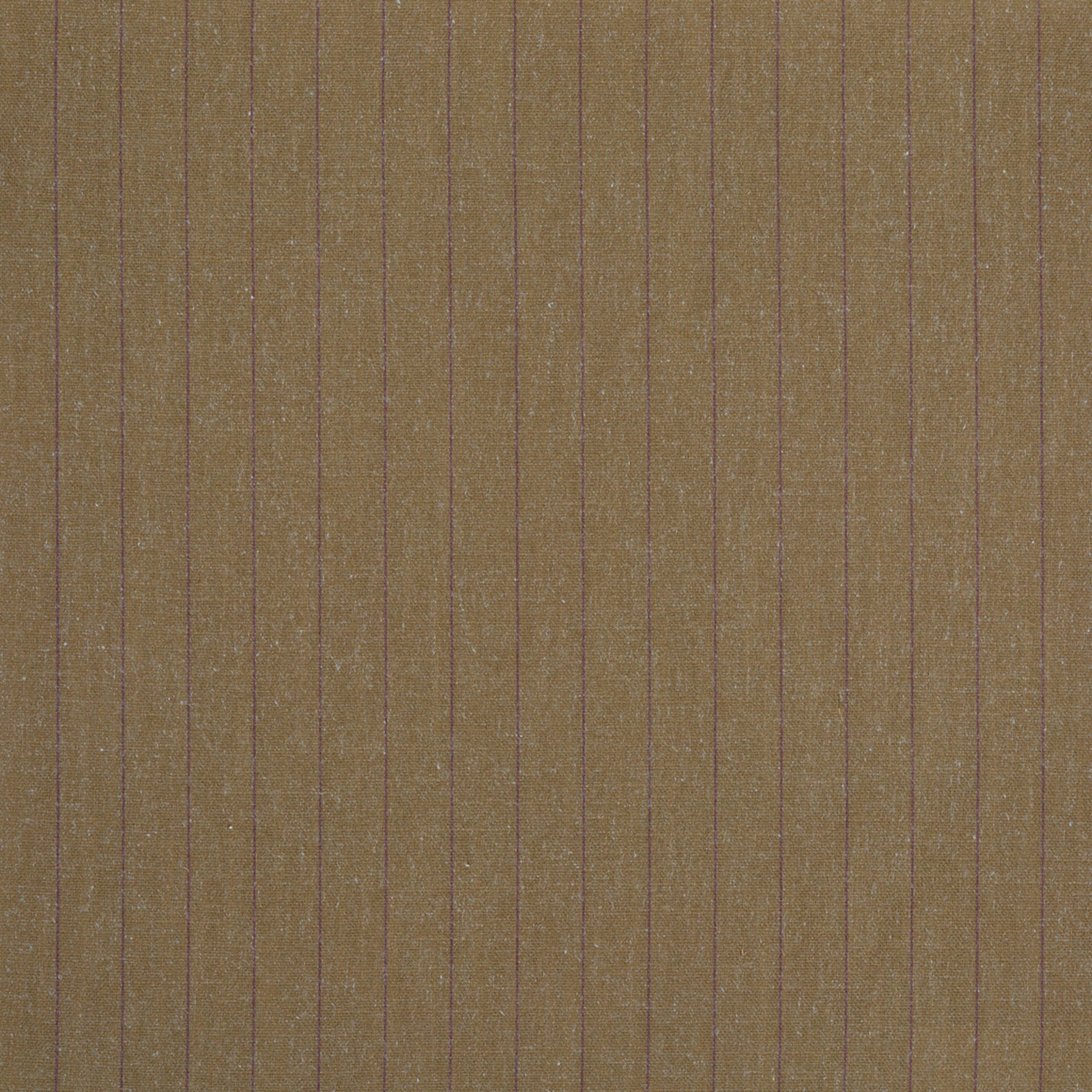 Swatch - Baron Cumin