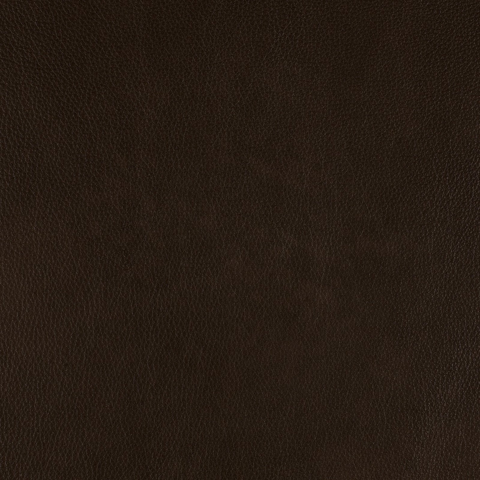 Swatch - Dante Cappuccino
