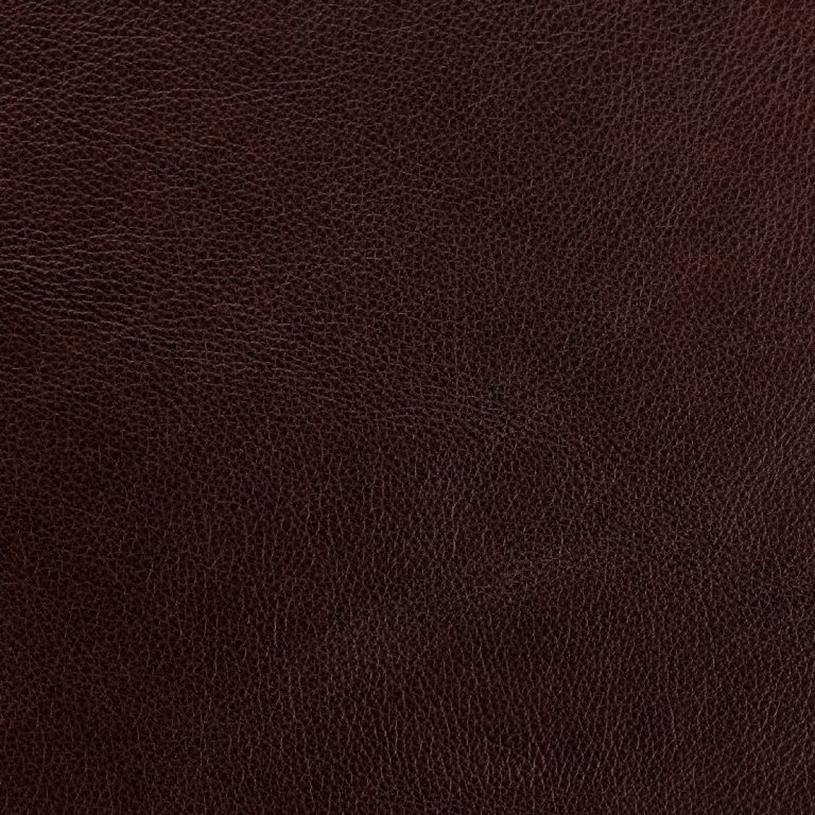 Swatch - Dante Espresso