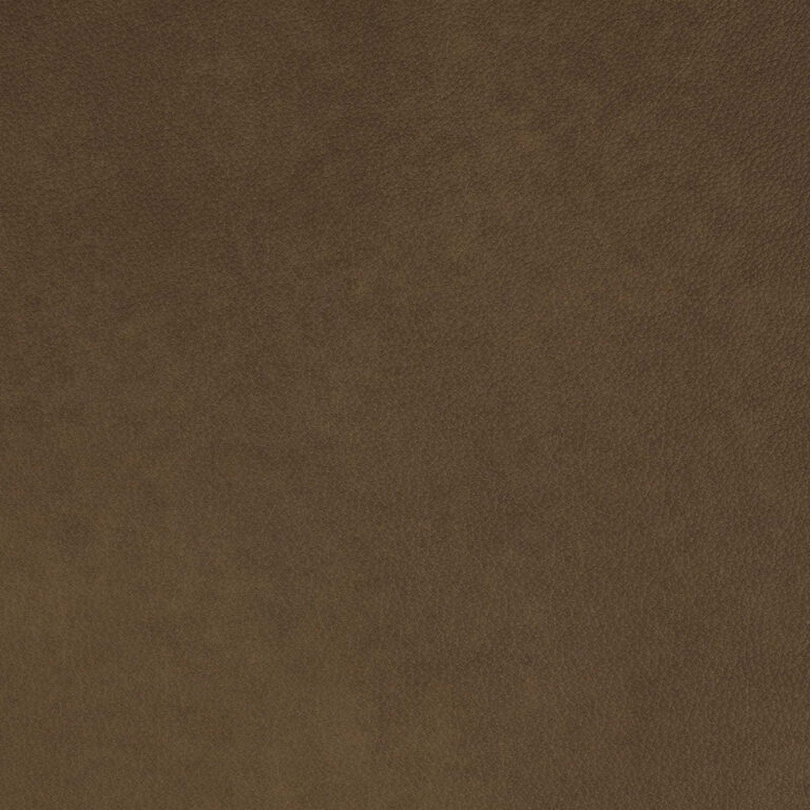 Swatch - Dante Sandhills