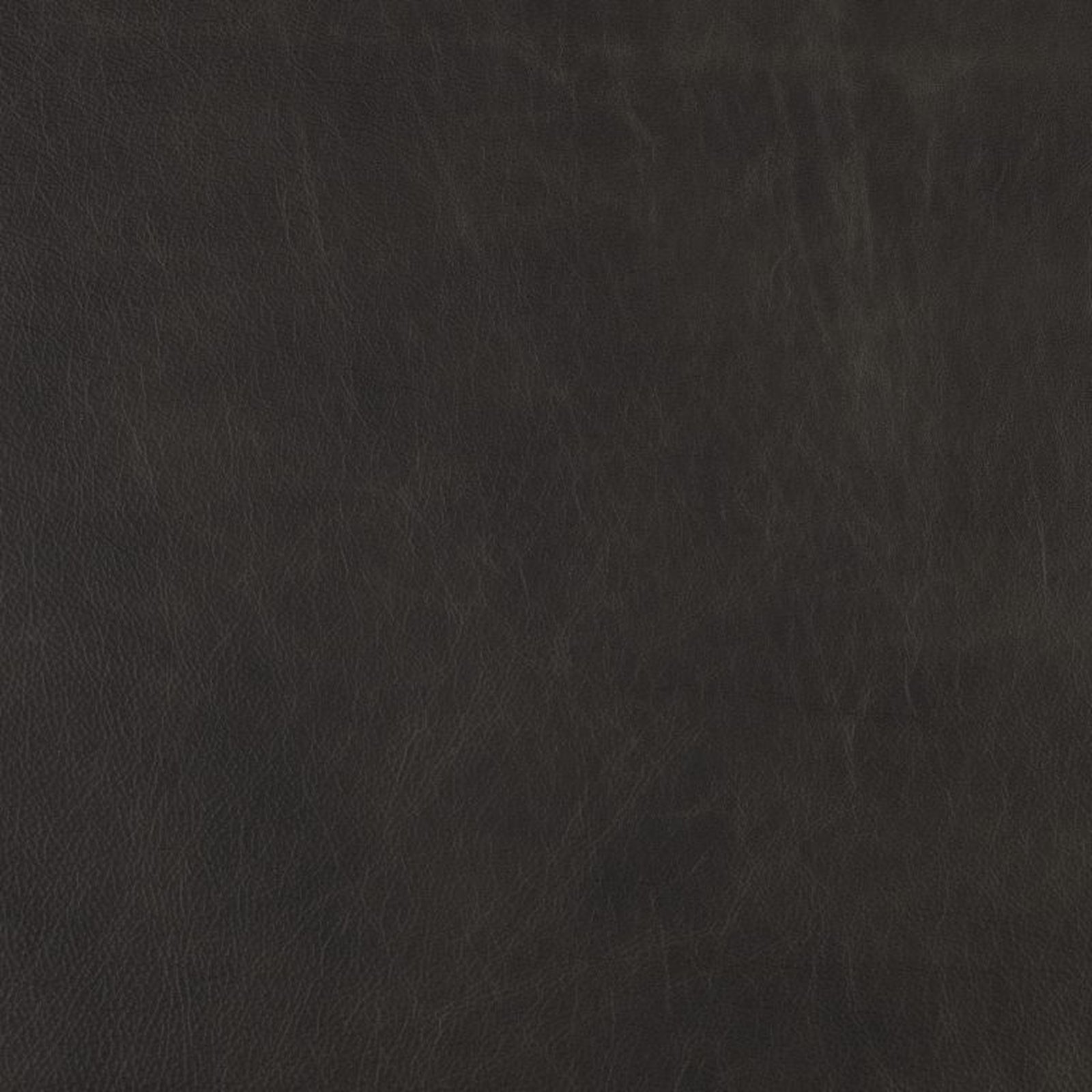 Swatch - Eastwood Barrel Grey