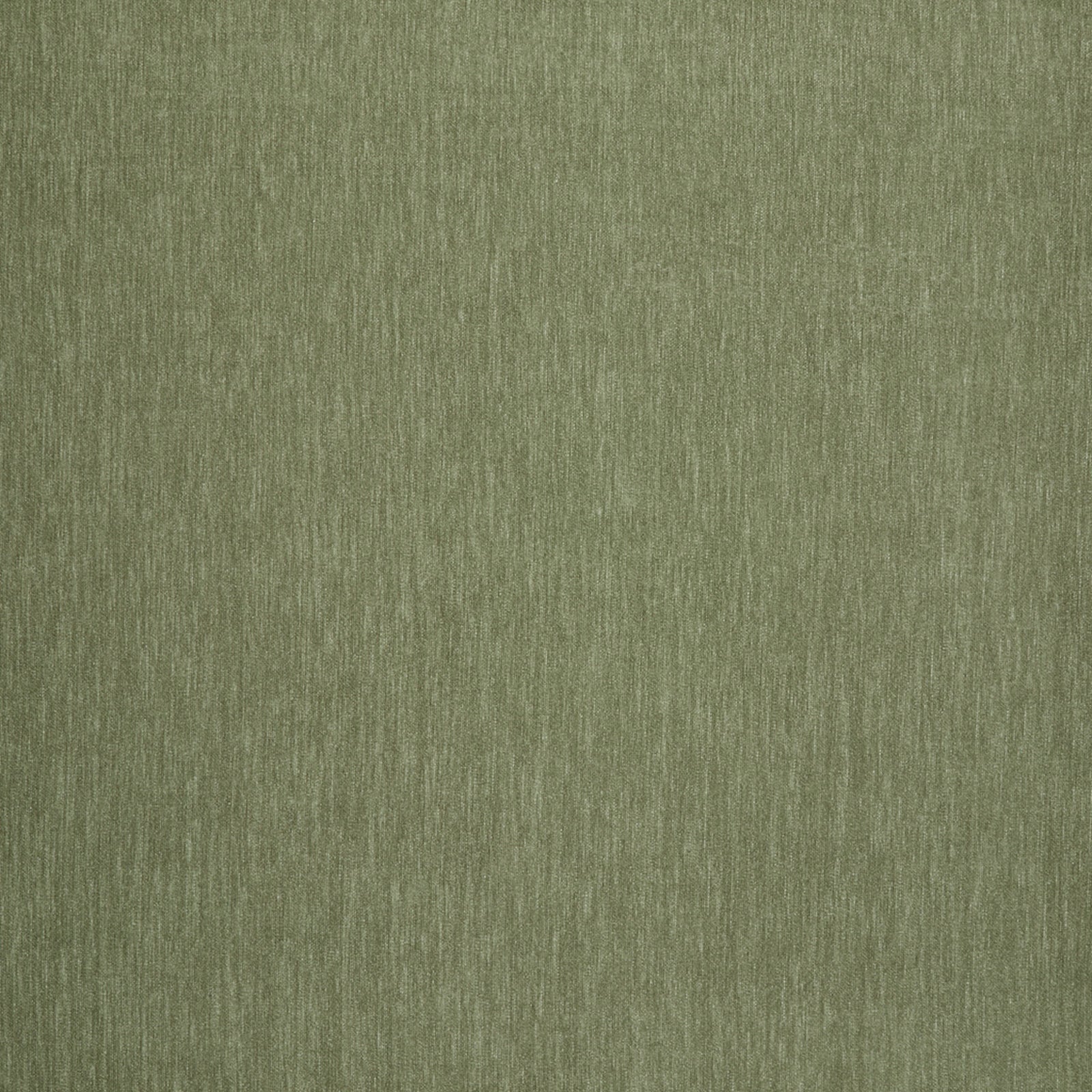 Swatch - Amici Fern