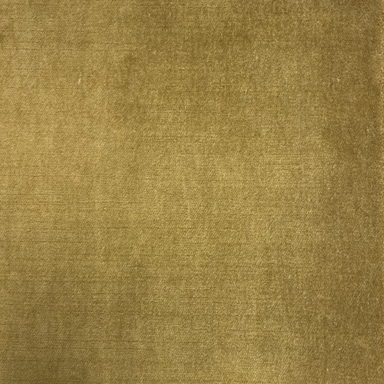 Swatch - Boca Goldenrod