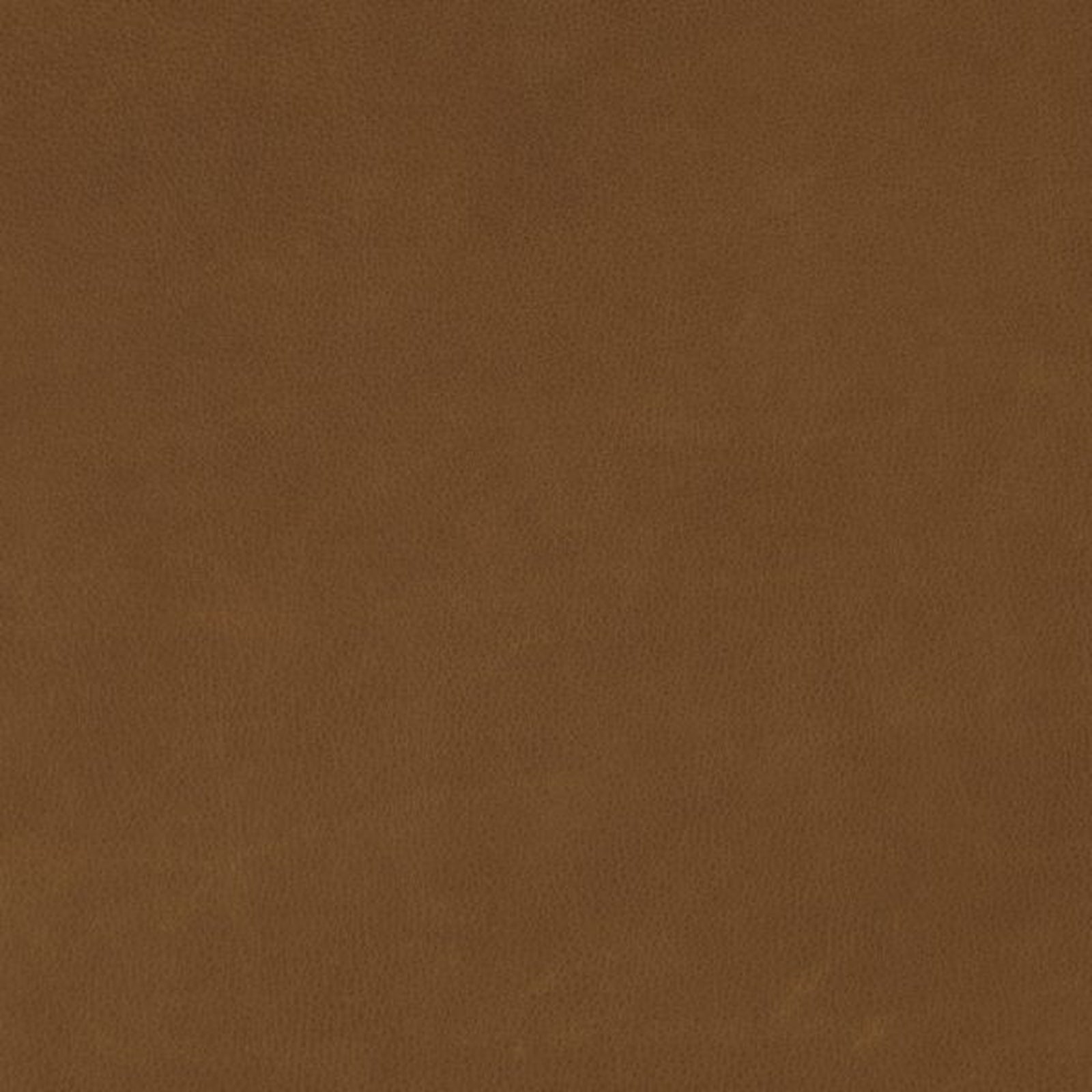 Swatch - Harlow Dune