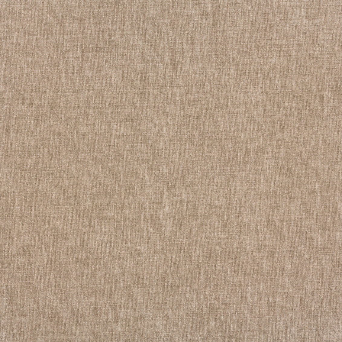 Swatch - Contessa Khaki