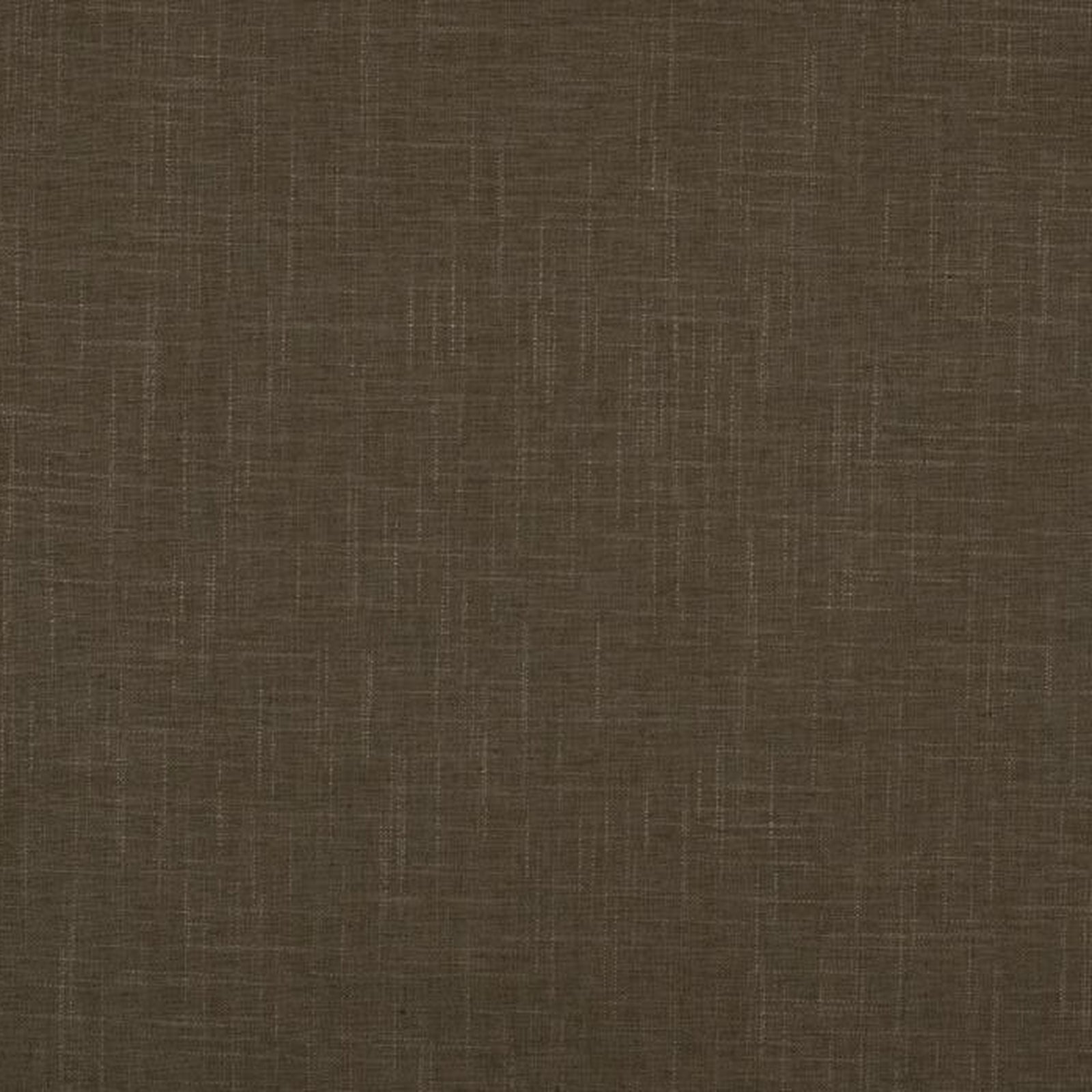 Swatch - Parks Olive