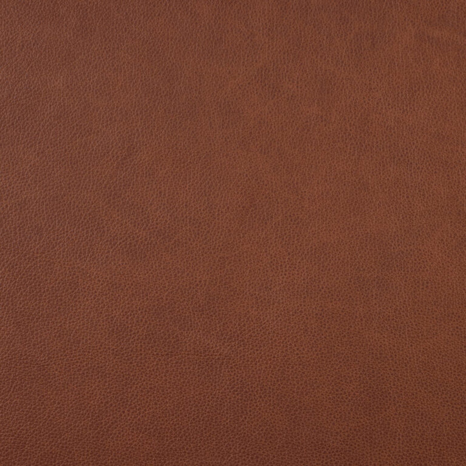 Swatch - Rangers Caramel