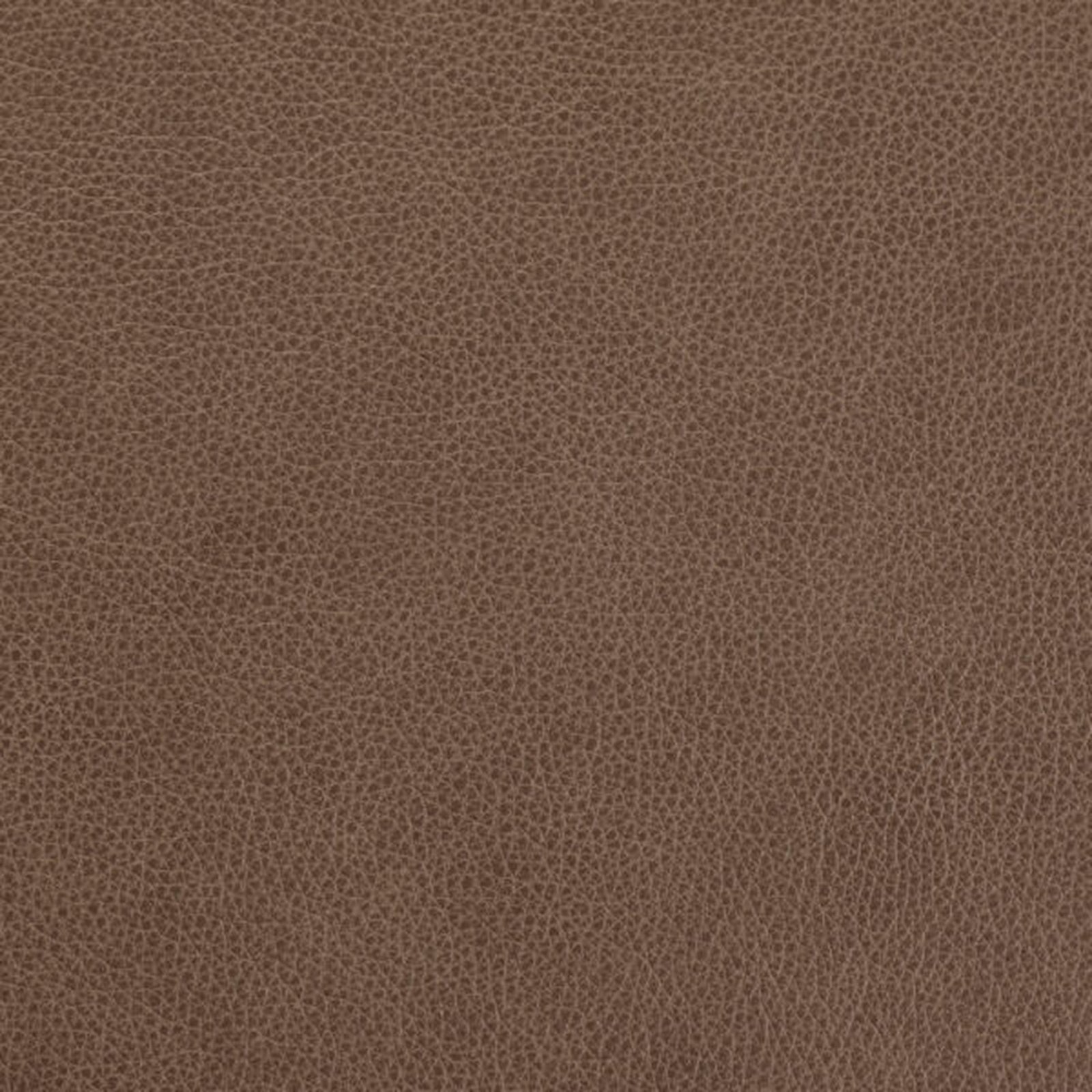 Swatch - Rangers Khaki