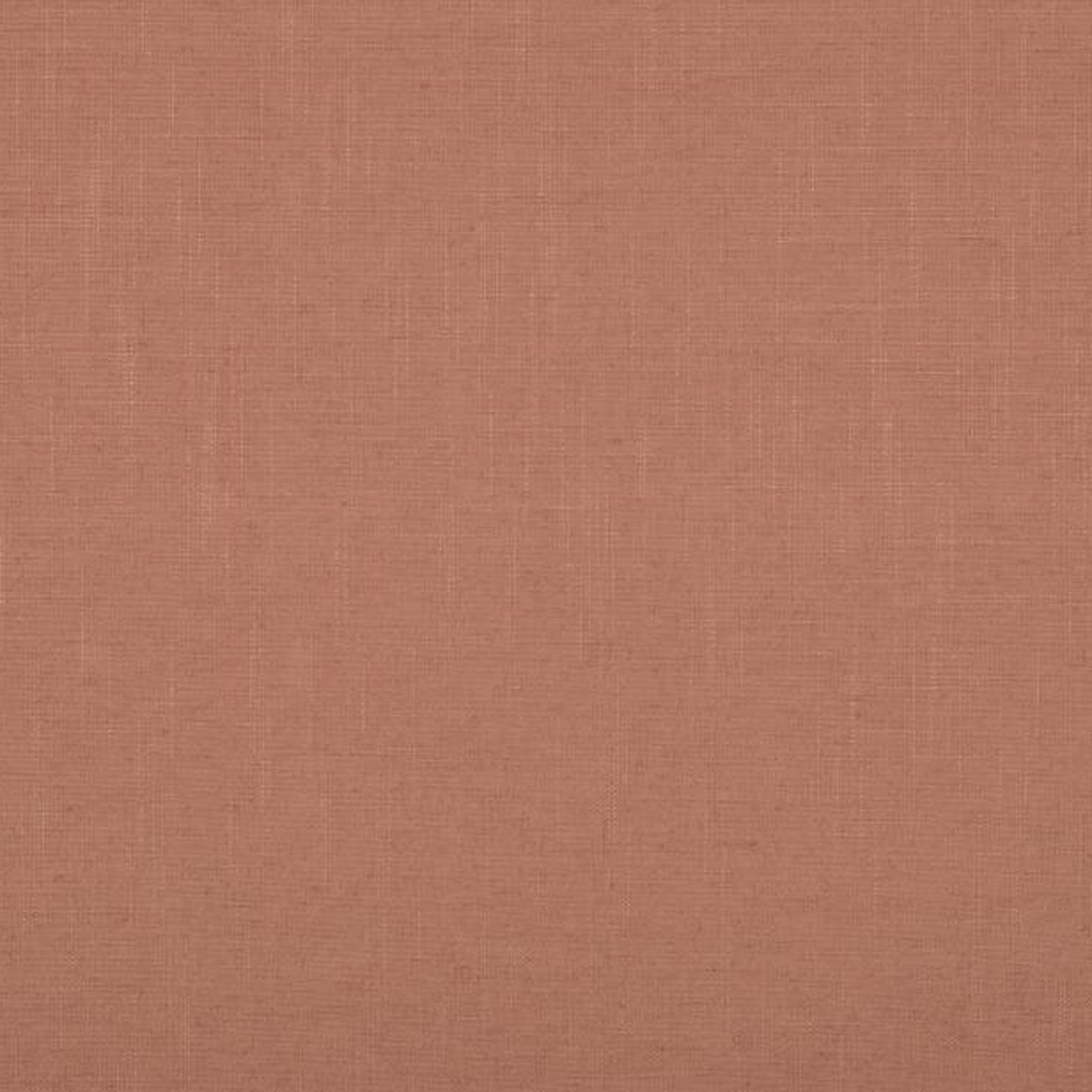 Swatch - Parks Salmon