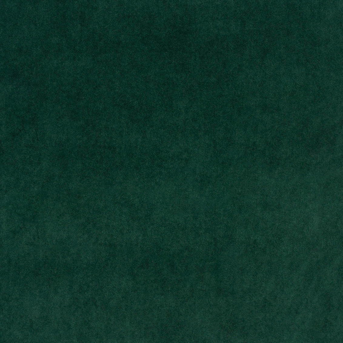 Swatch - Marquis Velvet Spruce