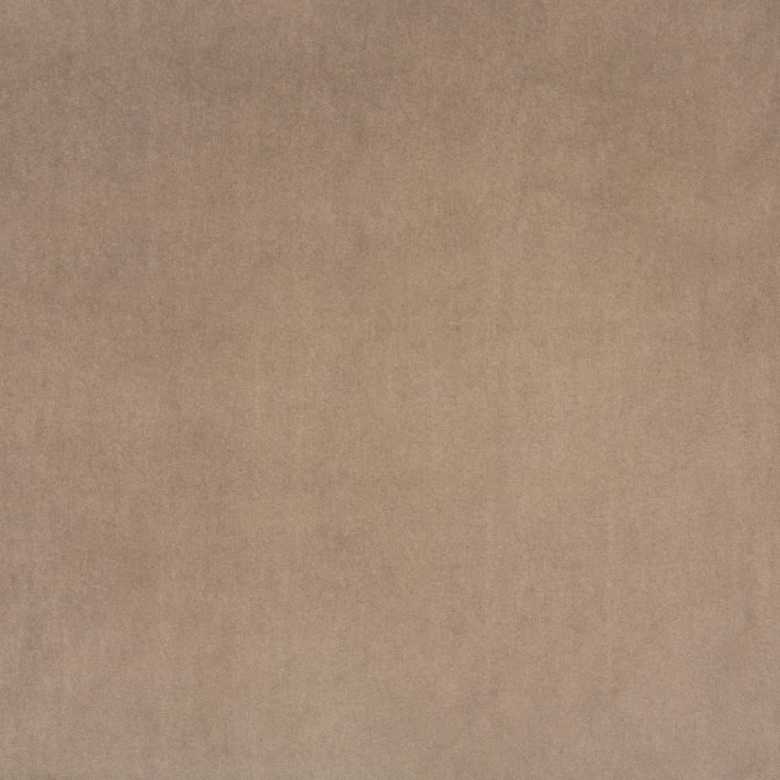 Swatch - Marquis Velvet Taupe